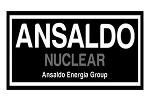 Ansaldo nuclear logo